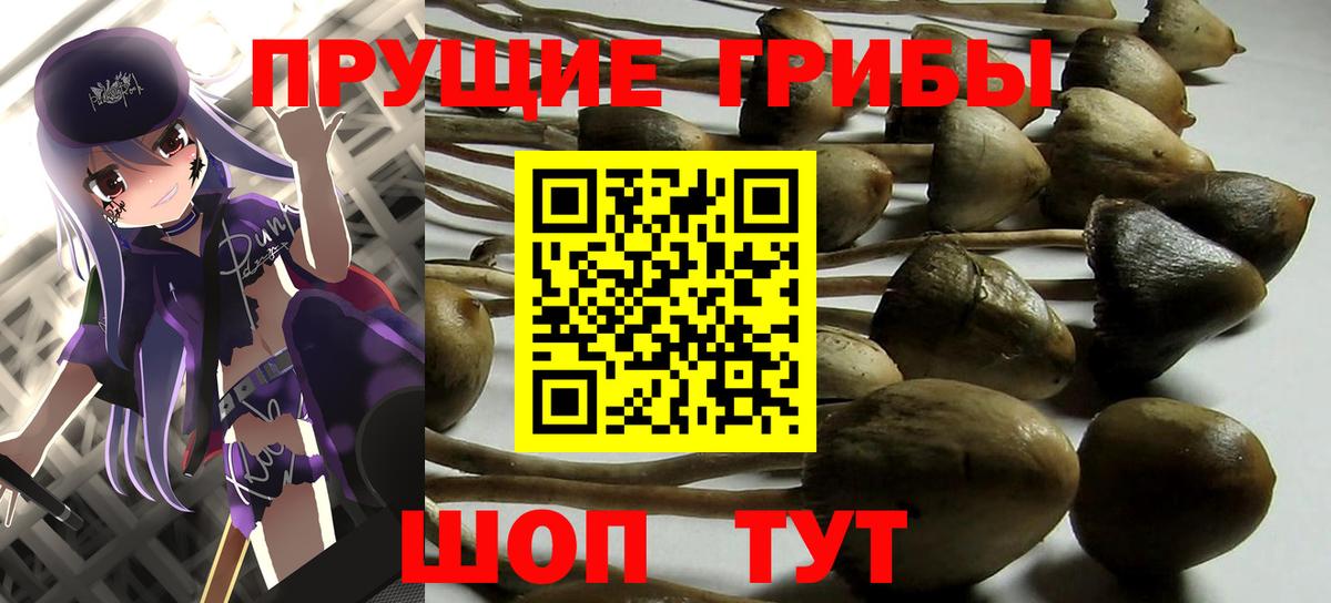 Санкт-Петербург  Псилоцибиновые грибы ЛСД  Вход с VPN 